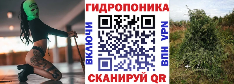 МАРИХУАНА ГИДРОПОН Ильский